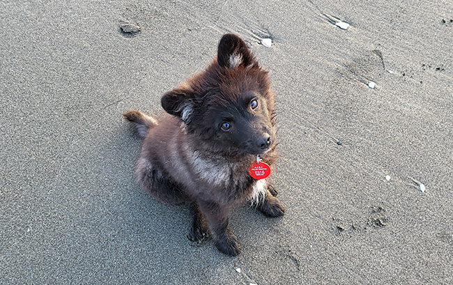 :-)
