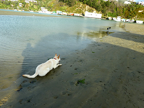 am Strand