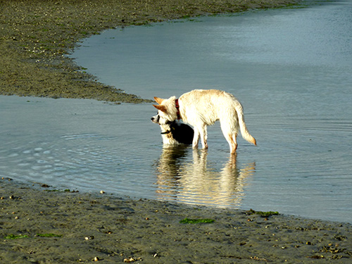 am Strand