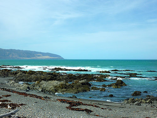 Wellington Bays